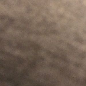 Meet your Posher, Robin